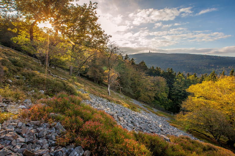 Landschaft im Hochtaunus, nahe Schmitten