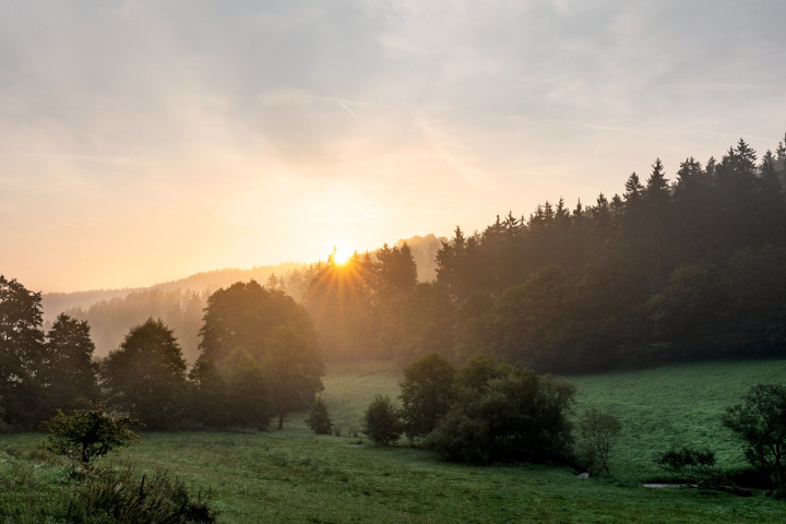 Taunus