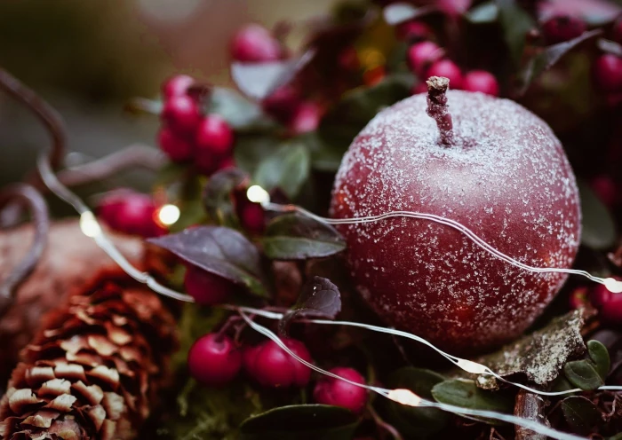 Weihnachtlicher Bratapfel mit Tannenzapfen